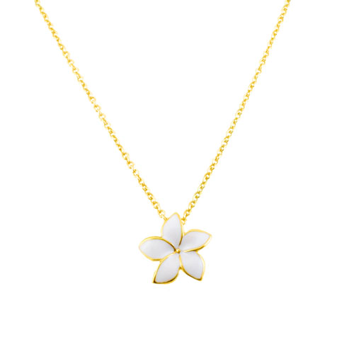 Ασημένιο επιχρυσωμένο κολιέ λουλούδι 925