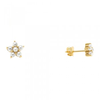 Ασημένια επιχρυσωμένα σκουλαρίκια λουλούδια 925