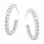 Λευκόχρυσα σκουλαρίκια κρικάκια Κ14 με ζιργκόν