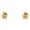 Χρυσά σκουλαρίκια αστέρια Κ14 με ζιργκόν