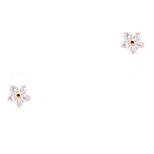 Ροζ χρυσά σκουλαρίκια λουλούδια Κ14