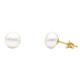 Χρυσά σκουλαρίκια Κ14 με μαργαριτάρια