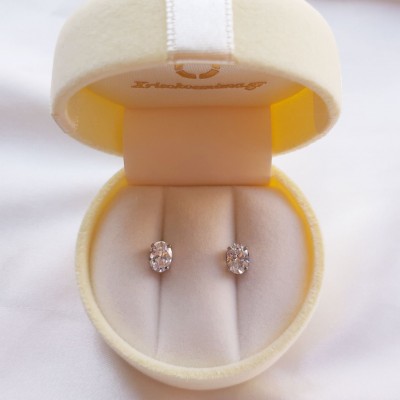 Λευκόχρυσα σκουλαρίκια Κ14 με ζιργκόν