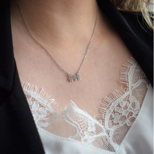 Λευκόχρυσο κολιέ οικογένεια Κ14