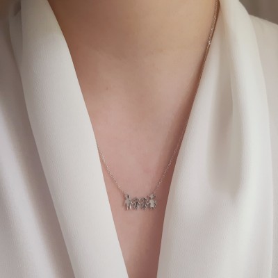 Λευκόχρυσο κολιέ οικογένεια Κ14