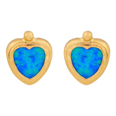 Παιδικά χρυσά σκουλαρίκια Κ14